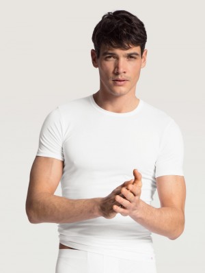 Biancheria Intima Uomo Calida Evolution T-shirt Weiss | 6513-LMWDB