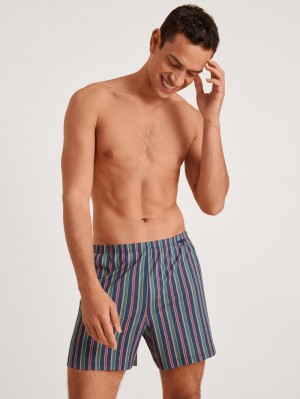 Biancheria Intima Uomo Calida Prints Boxer Shorts Blu | 4062-WIKXZ