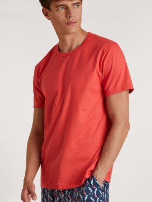 Pigiami Uomo Calida Rmx Sleep Time Off T-shirt Rosse | 7925-QNRUS