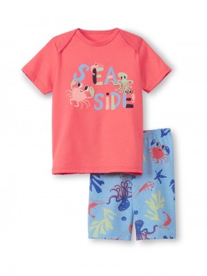 Pyjama Bambino Calida Toddlers Ocean Short Pyjama Corallo Corallo | 5219-VURQK