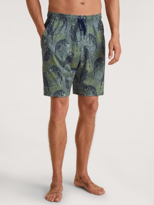 Summer Outfits Uomo Calida Rmx Sleep Holiday Bermudas Verdi | 6837-YSJRG