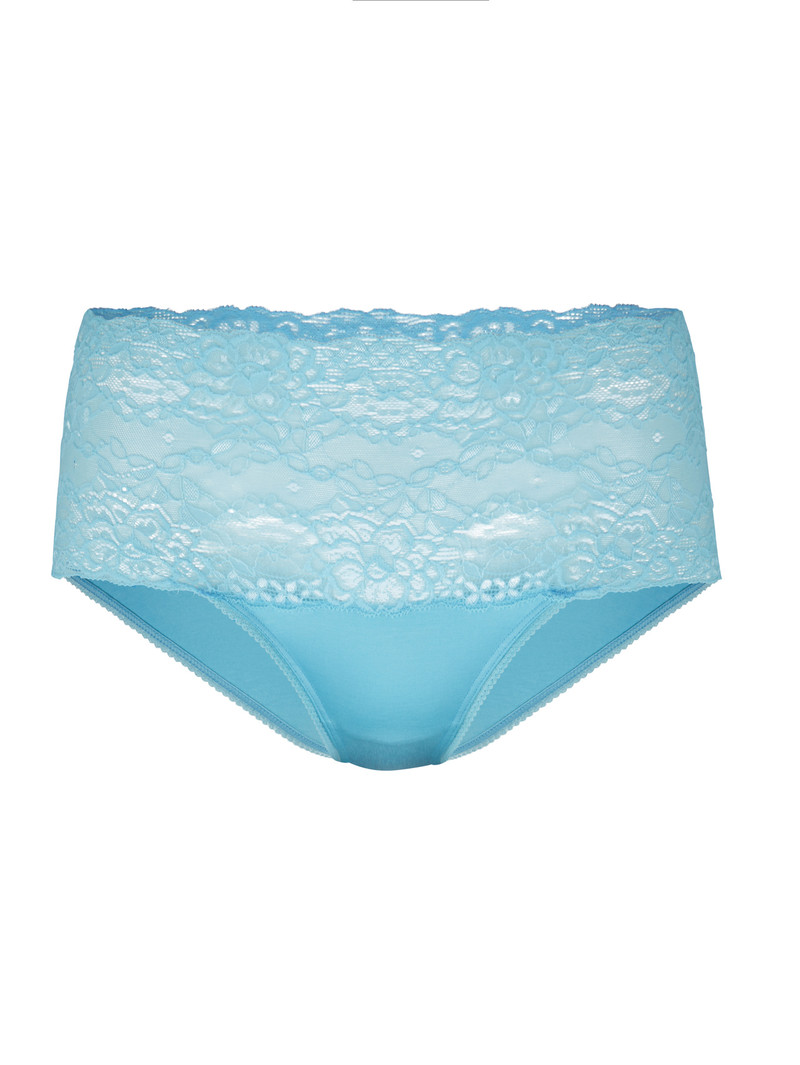 Biancheria Intima Donna Calida Sensual Secrets High-waisted Briefs With Lace Waistband Blu | 8245-DIRLG