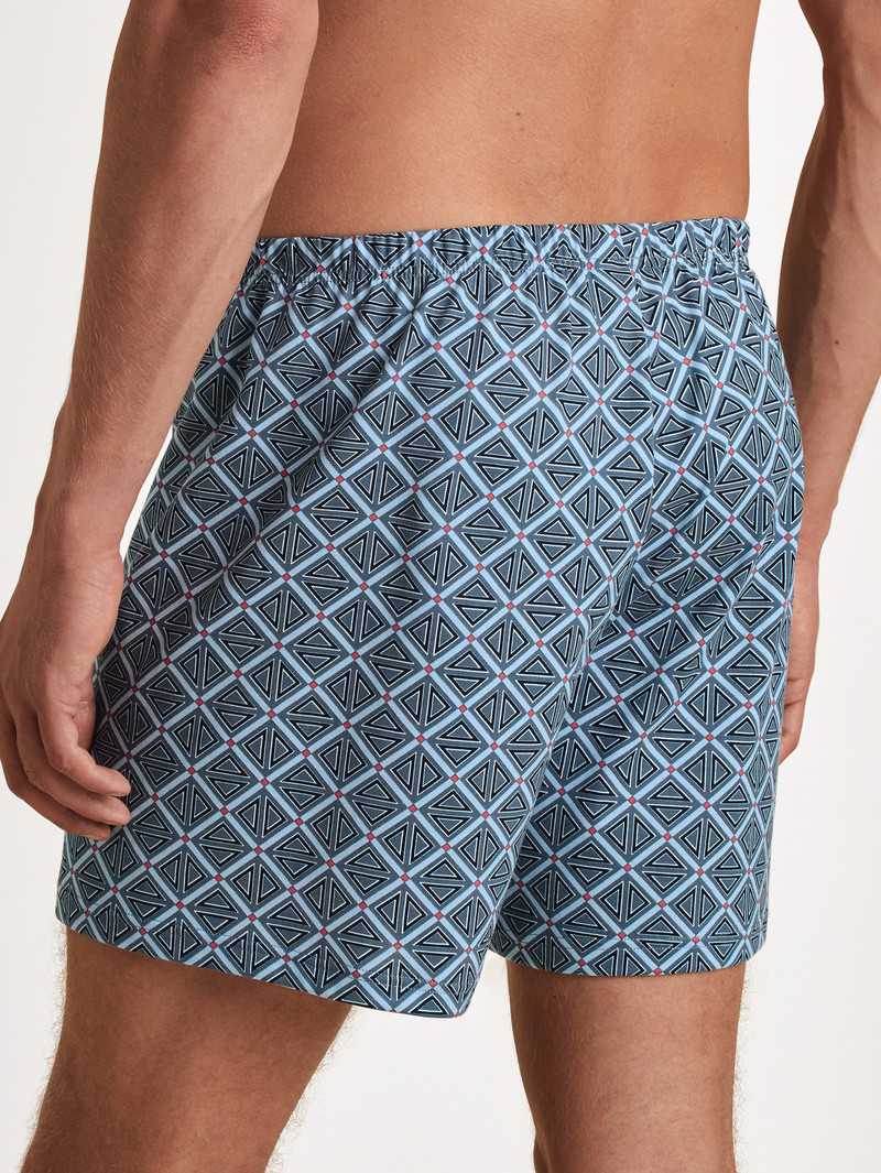 Biancheria Intima Uomo Calida Prints Boxer Shorts Grigie | 7485-EVLRG