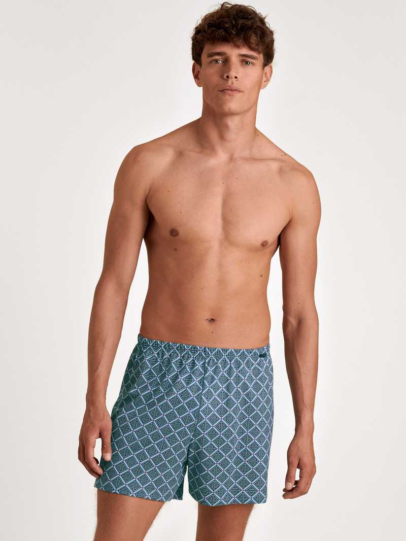 Biancheria Intima Uomo Calida Prints Boxer Shorts Grigie | 7485-EVLRG