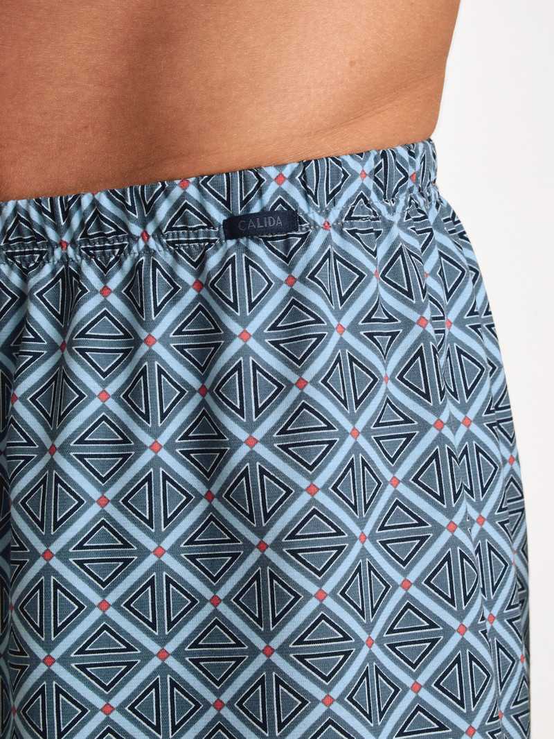 Biancheria Intima Uomo Calida Prints Boxer Shorts Grigie | 7485-EVLRG