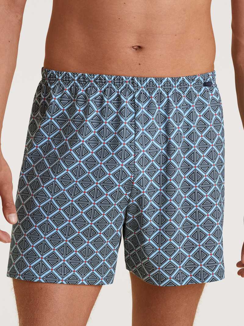 Biancheria Intima Uomo Calida Prints Boxer Shorts Grigie | 7485-EVLRG