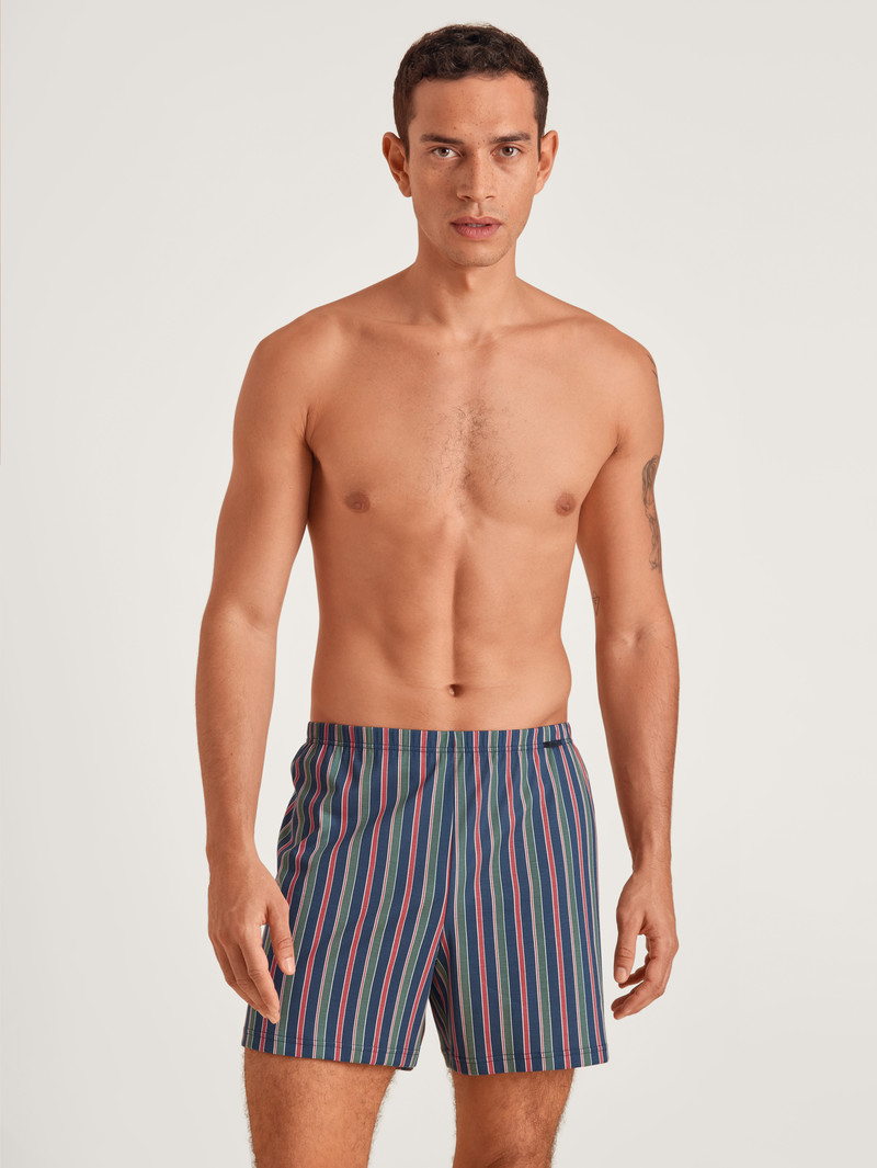 Biancheria Intima Uomo Calida Prints Boxer Shorts Blu | 4062-WIKXZ