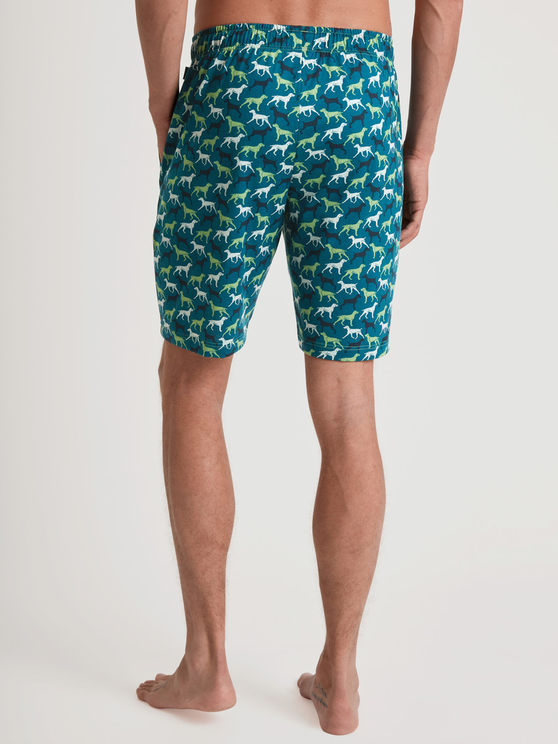 Pigiami Uomo Calida Rmx Sleep Weekend Bermudas Verdi | 7869-CAYFP