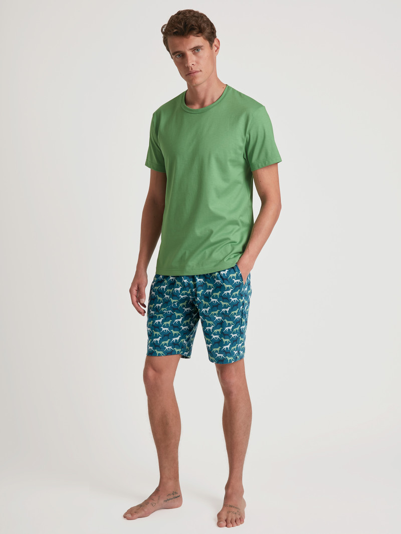 Pigiami Uomo Calida Rmx Sleep Weekend Bermudas Verdi | 7869-CAYFP