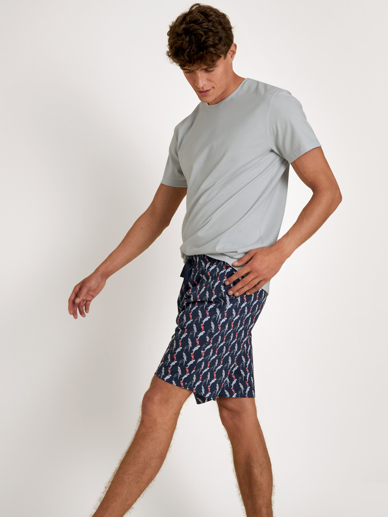 Summer Outfits Uomo Calida Rmx Sleep Time Off Bermudas Grigie | 4623-WVGJB