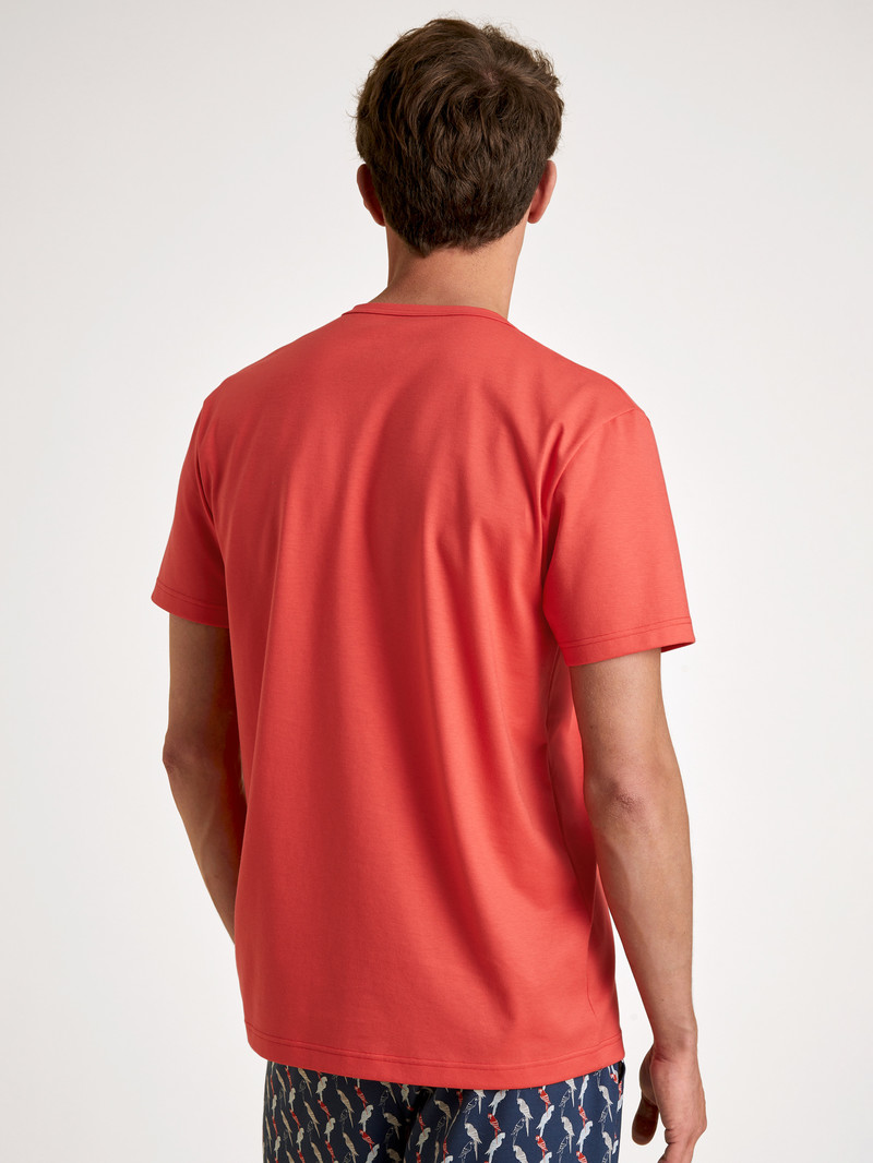 Summer Outfits Uomo Calida Rmx Sleep Time Off T-shirt Rosse | 9247-BTJEK