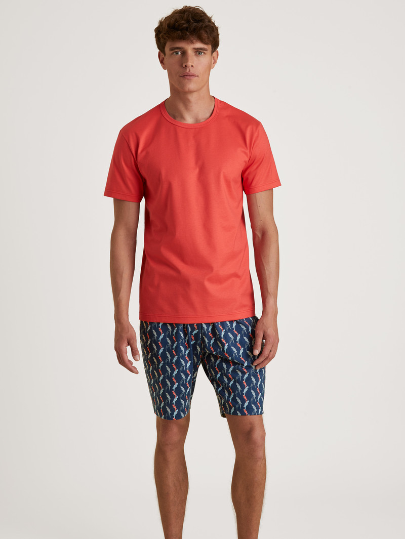 Summer Outfits Uomo Calida Rmx Sleep Time Off T-shirt Rosse | 9247-BTJEK